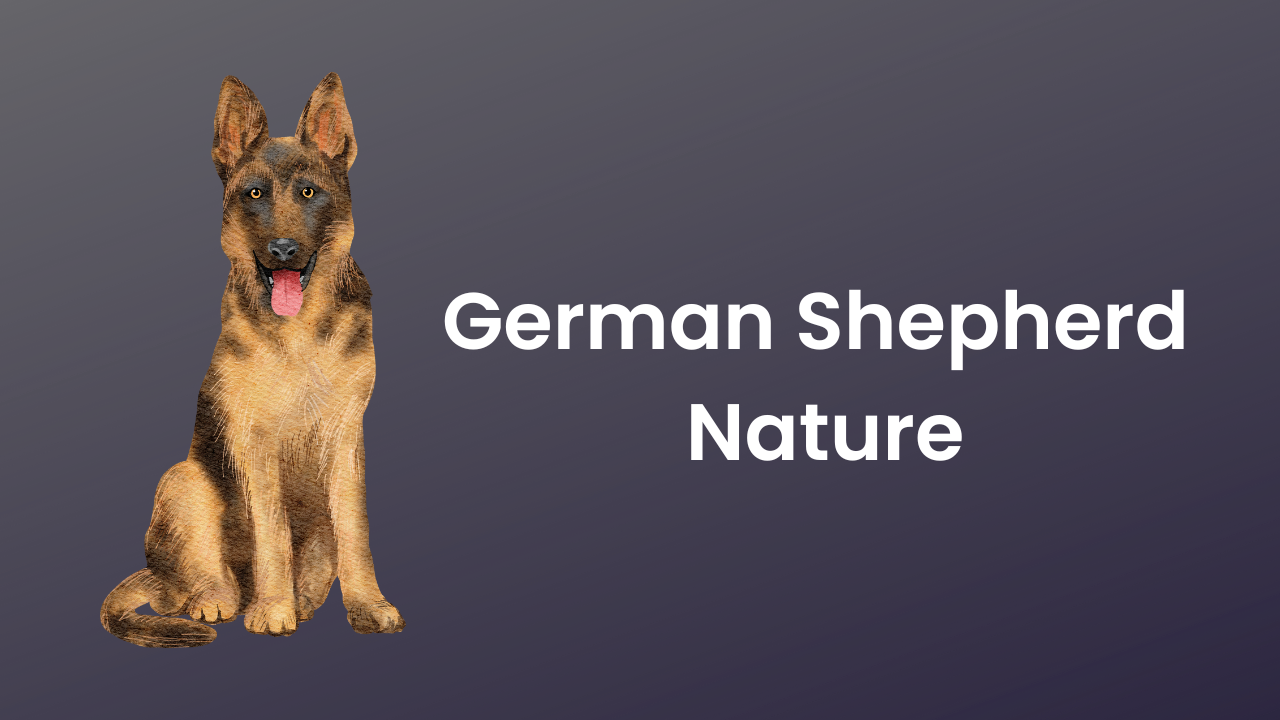 German Shepherd Nature