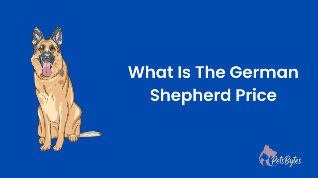 What Is The German Shepherd Price,